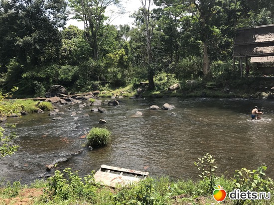 429 ����: ������ 2017. ����