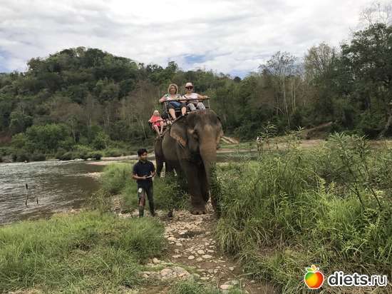 51 ����: ������ 2017. ����