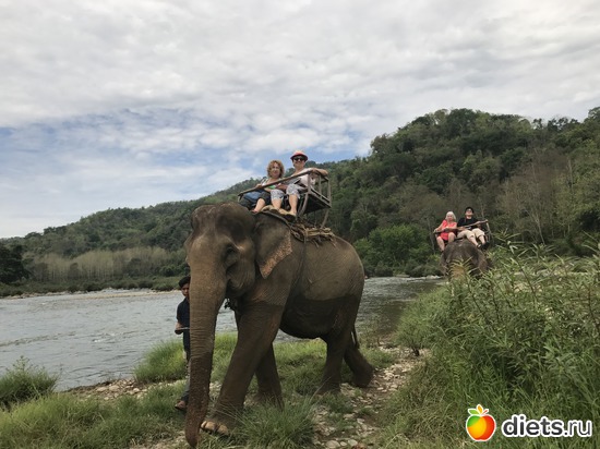 52 ����: ������ 2017. ����