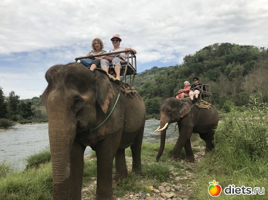 53 ����: ������ 2017. ����