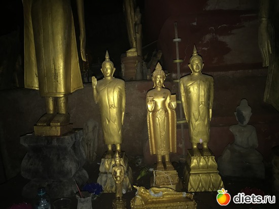 229 ����: ������ 2017. ����