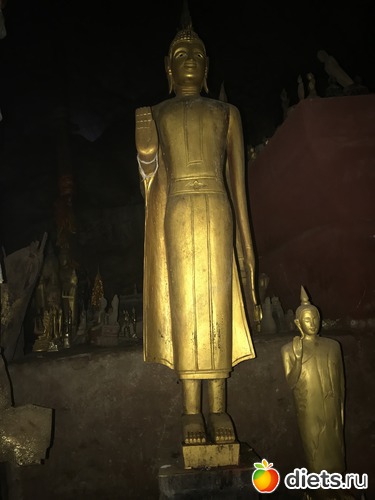 230 ����: ������ 2017. ����