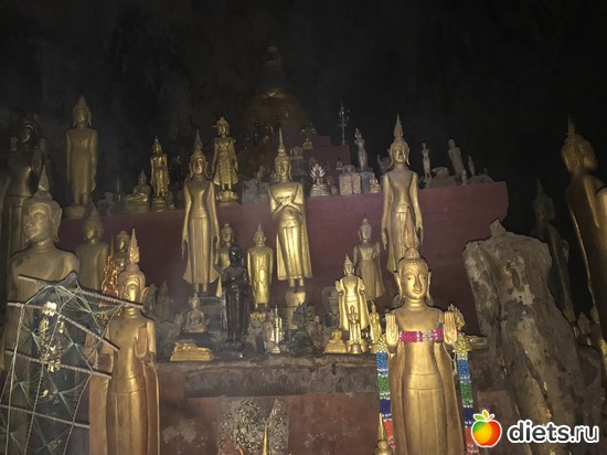 231 ����: ������ 2017. ����