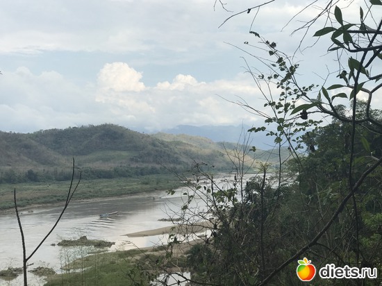 233 ����: ������ 2017. ����