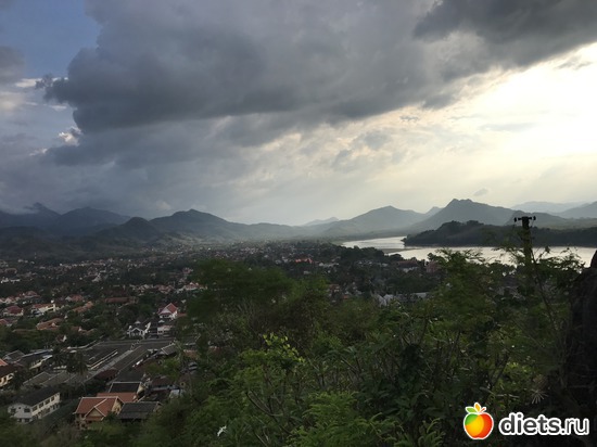 292 ����: ������ 2017. ����