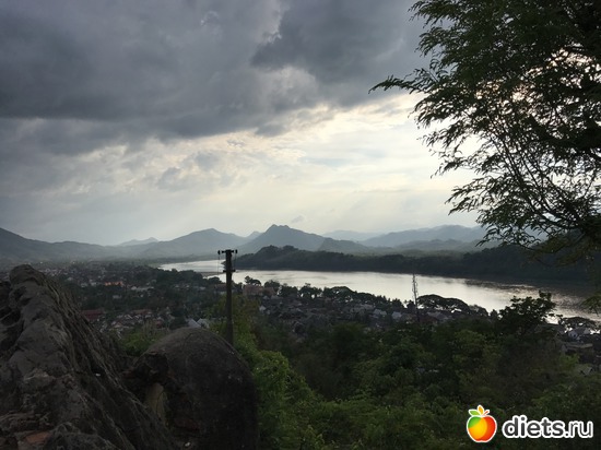 293 ����: ������ 2017. ����