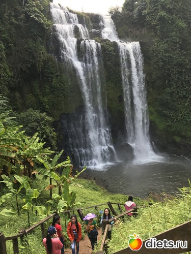 431 ����: ������ 2017. ����