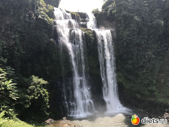 435 ����: ������ 2017. ����