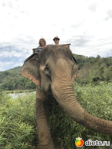 55 ����: ������ 2017. ����