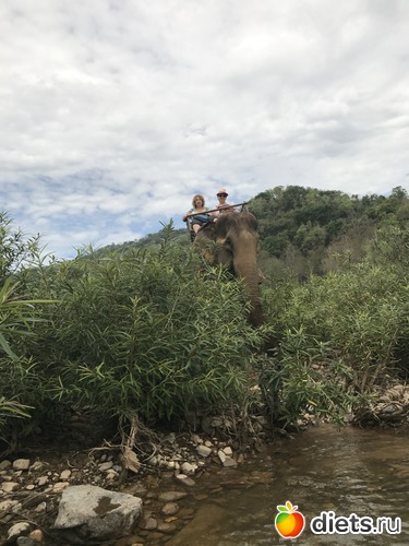 56 ����: ������ 2017. ����