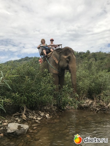 57 ����: ������ 2017. ����