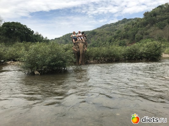 58 ����: ������ 2017. ����