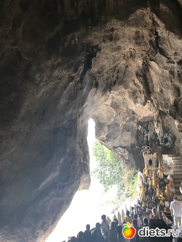 238 ����: ������ 2017. ����