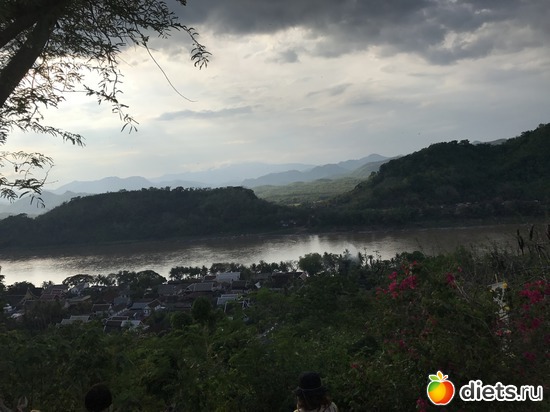 298 ����: ������ 2017. ����