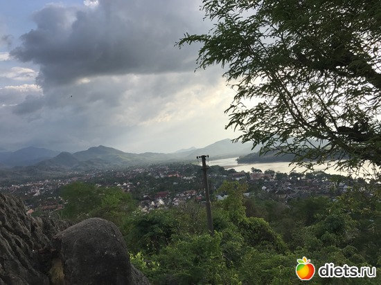 299 ����: ������ 2017. ����