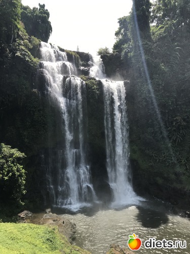 436 ����: ������ 2017. ����