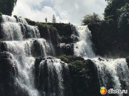 437 ����: ������ 2017. ����