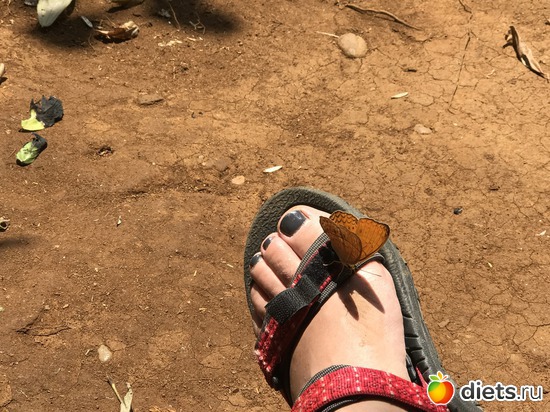 438 ����: ������ 2017. ����