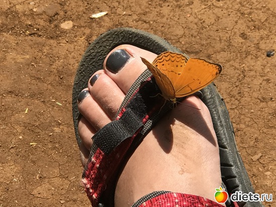 439 ����: ������ 2017. ����