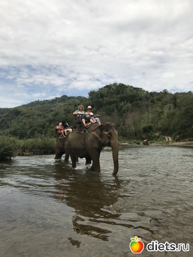 60 ����: ������ 2017. ����