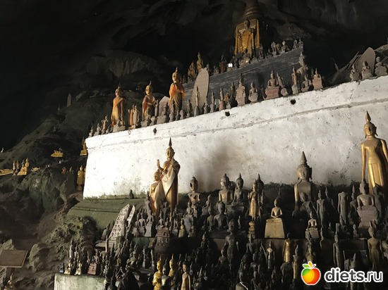 239 ����: ������ 2017. ����