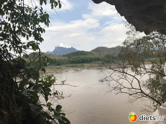 240 ����: ������ 2017. ����