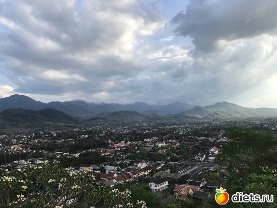 301 ����: ������ 2017. ����