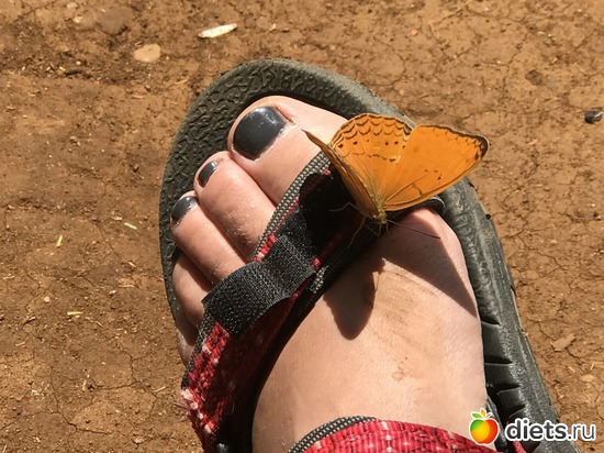 440 ����: ������ 2017. ����