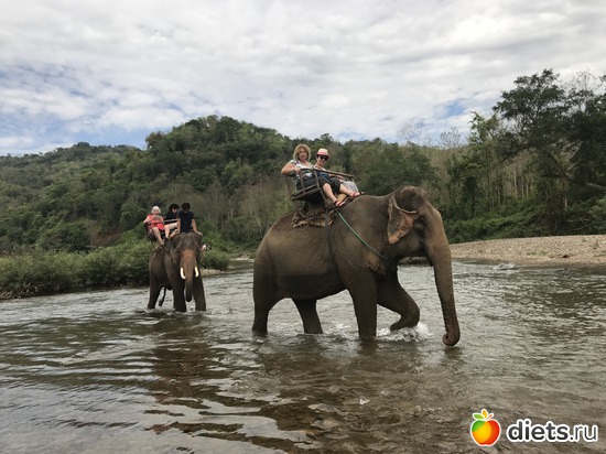 61 ����: ������ 2017. ����