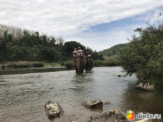 62 ����: ������ 2017. ����