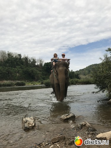 63 ����: ������ 2017. ����