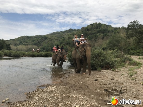 64 ����: ������ 2017. ����