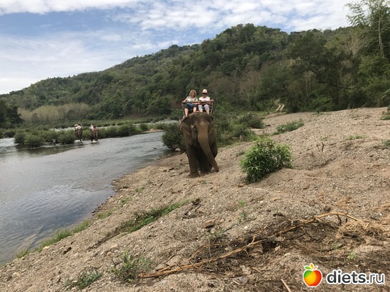 65 ����: ������ 2017. ����