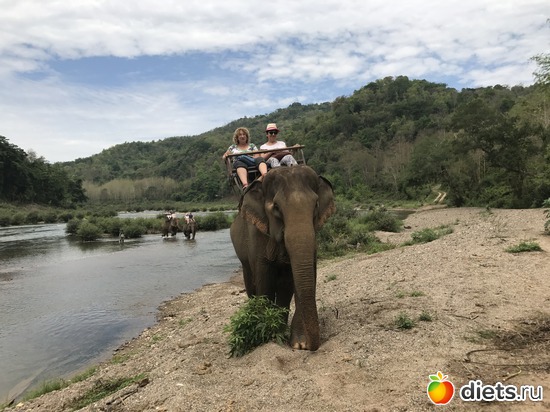 66 ����: ������ 2017. ����