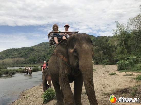 67 ����: ������ 2017. ����