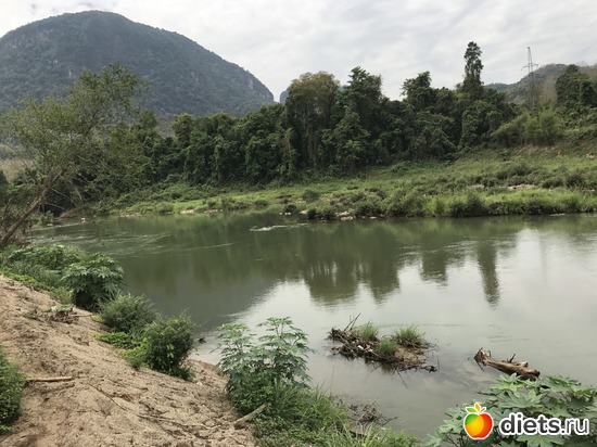 68 ����: ������ 2017. ����