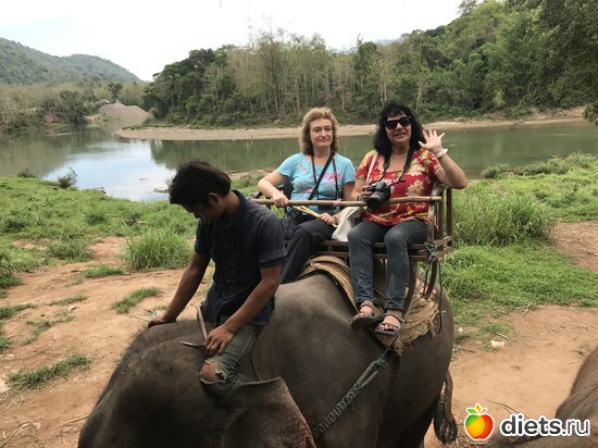 69 ����: ������ 2017. ����