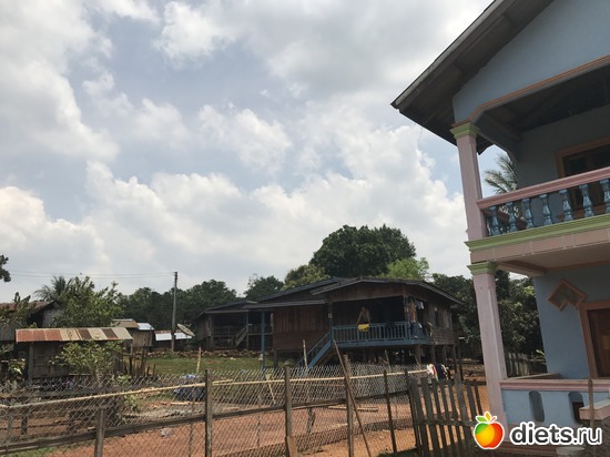 454 ����: ������ 2017. ����