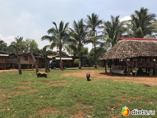 455 ����: ������ 2017. ����