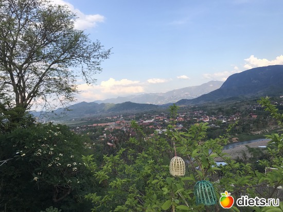 302 ����: ������ 2017. ����