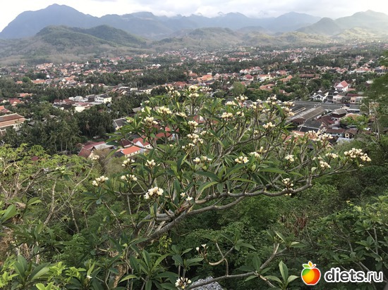 303 ����: ������ 2017. ����