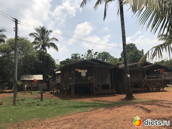 456 ����: ������ 2017. ����