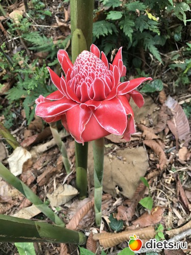 77 ����: ������ 2017. ����