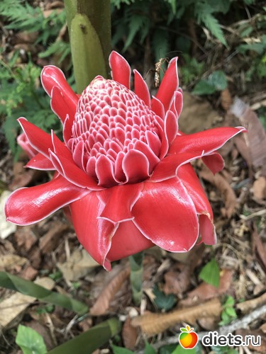 78 ����: ������ 2017. ����