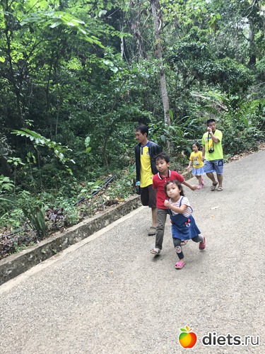 79 ����: ������ 2017. ����