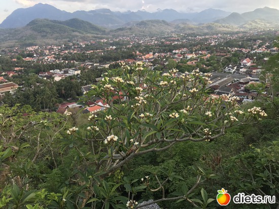 304 ����: ������ 2017. ����