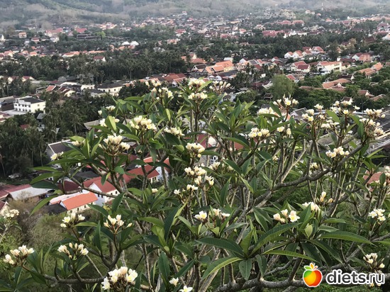 305 ����: ������ 2017. ����