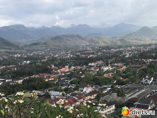 306 ����: ������ 2017. ����