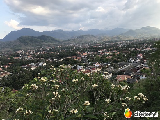 307 ����: ������ 2017. ����