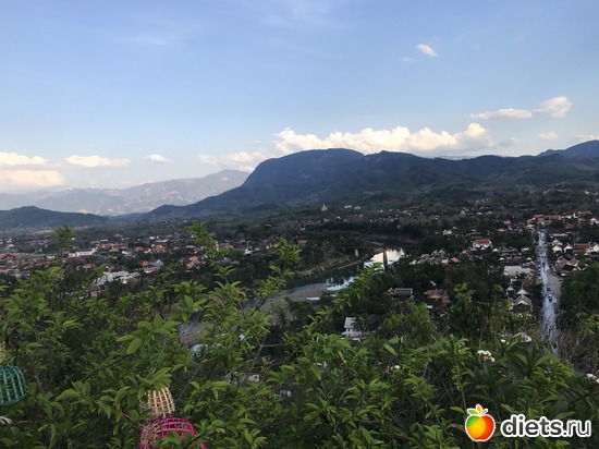 308 ����: ������ 2017. ����